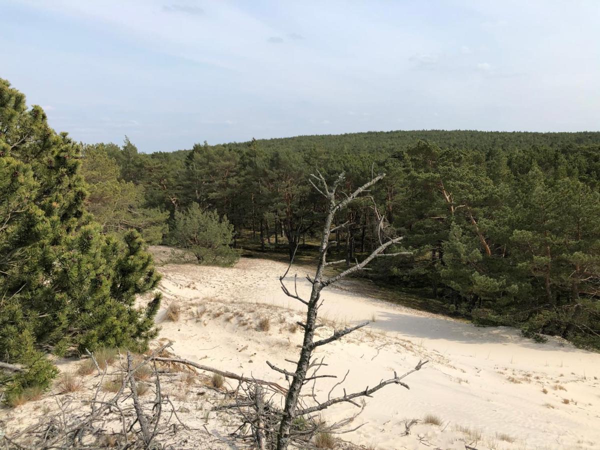 Hilltom By The Sea Apartment Rowy  Bagian luar foto